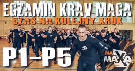 Egzamin Krav Maga P1-P5 NA MAXA 2020.jpg